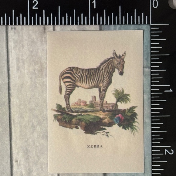 🌀10/$10🌀 Classic Grassland Animals Reusable Washi Sticker Decal - Picture 1 of 1